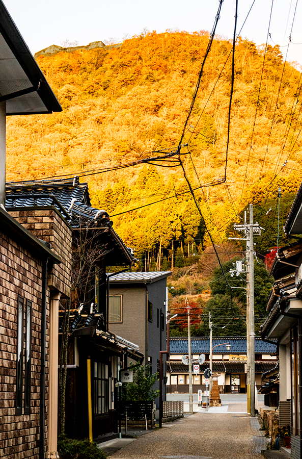 兵庫県 JR西日本 播但線 竹田駅