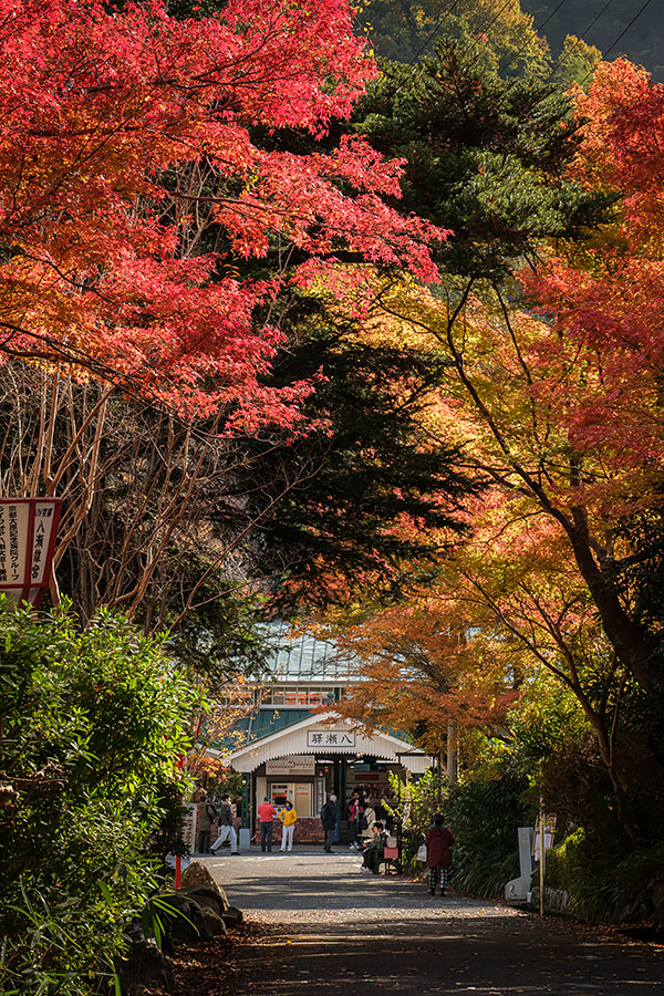 京都府 叡山電鉄 叡山本線 八瀬比叡山口駅