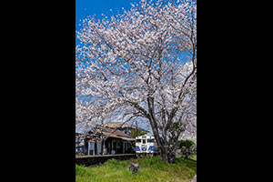 兵庫県 北条鉄道 北条線 長駅