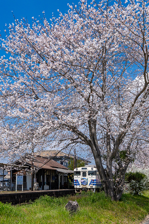 兵庫県 北条鉄道 北条線 長駅