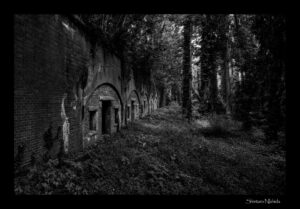 NO PHOTO NO LIFE 52　願いの平和と努力の和平